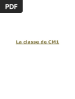 Programme Classe de CM1