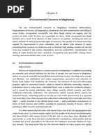 Environmental Concerns in Meghalaya: Deforestation