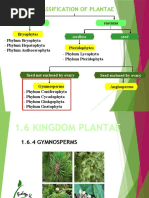 1.6 Gymnosperms Angiosperms