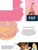 El Sistema Digestivo Humano Sexto