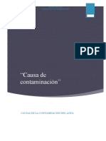 Contaminación Del Agua