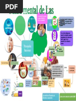 Mapa Mental de Las Proteínas