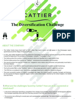 The Diversification Challenge: Presented by Team #5