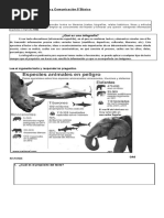 Clase Infografía Lenguaje y Comunicación 5. Desarrollar Preguntas.