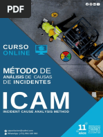 Icam Basico