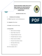 Tarea N°1 - Hematopoyesis