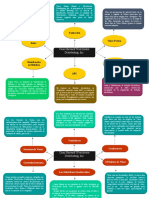 Mapa Conceptual Caso