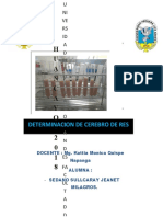 Informe de Bioquimica 13