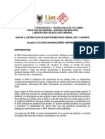 Guia N°5. Extraccion de ADN Casero