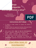 7° Instrucciones Trabajo Infografía Microorganismos