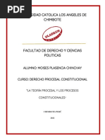 La Teoría Procesal y Los Procesos Constitucionales