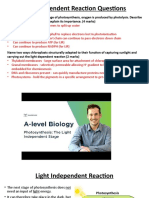 Light Dependent Reaction Questions