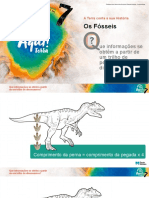 At7 PPT Informacao Pegadas Dinossauro