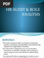 HR Audit & Role Analysis