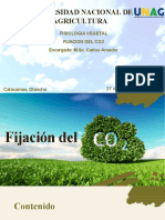 Fijacion Del Co2