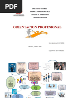 Mapa Mental Orientacion Profesional