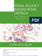 UPV Medicina Interna II Clase 06 - Lesión Renal Aguda y Enfermedad Renal Crónica