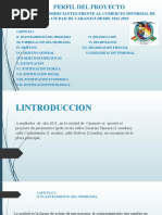 Perfil Del Proyecto