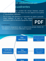 Division Abdominal y Cuadrantes