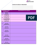 Matriz de Análisis Princonser