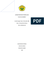 Laporan Isolasi Dan Identifikasi - A2 - 182210101136 - Imtiyaz Adzra Luthfi Yasminda