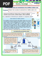 Ficha Ciencia y Tecnología 28-09