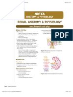 Anatomy and Physiology of The Renal System