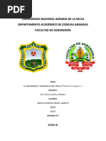 INFORME N°2 Crecimiento y Desarrollo FISIOLOGIA VEGETAL