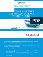 Les Outils Du E-Tourisme