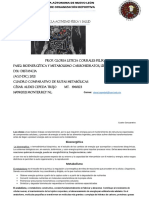 Cuadro Comparativo