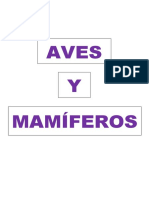 Avesy Mamiferos