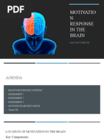 Reward Response in The Brain