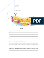 TOPIC 3 - Cell Transport