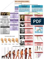 Lectura Origen y Evolución Del Hombre