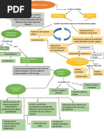 Mapa Conceptual