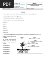 Evaluacion Sin Resolver Niveles Troficos