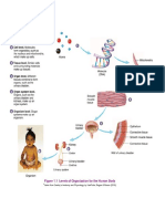 Practical Exam (Anph111)