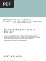 Desproporción Cefalo-Pélvica, Desproporción Del Canal Óseo