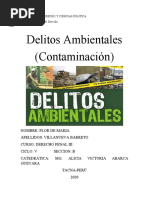 Delitos Ambientales