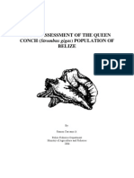 Stock Assessment of The Queen Conch Population of Belize