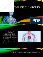 Sistema Circulatorio