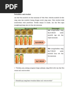 Latihan Soal Persamaan Linear