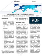 Aplicación Práctica de Las Normas Internacionales de Encargos de Revisión - Nier