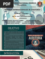 Nia Auditoria Financiera