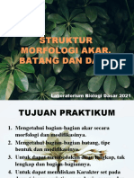 MORFOLOGI AKAR, BATANG DAN DAUN Edited