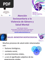 Violencia de Género en Salud Mental. Autora Lydia Salvador Técnico Del Servicios de Coord. Asistencial Sociosanitar