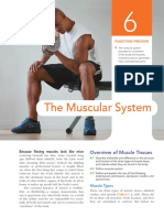 Chapter 6 The Muscular System