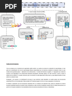 Proceso MIA