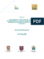 Guia Metodologica Iii Taller