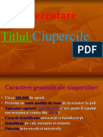 Ciupercile